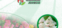Catalog Adametz 2020 (1)-1